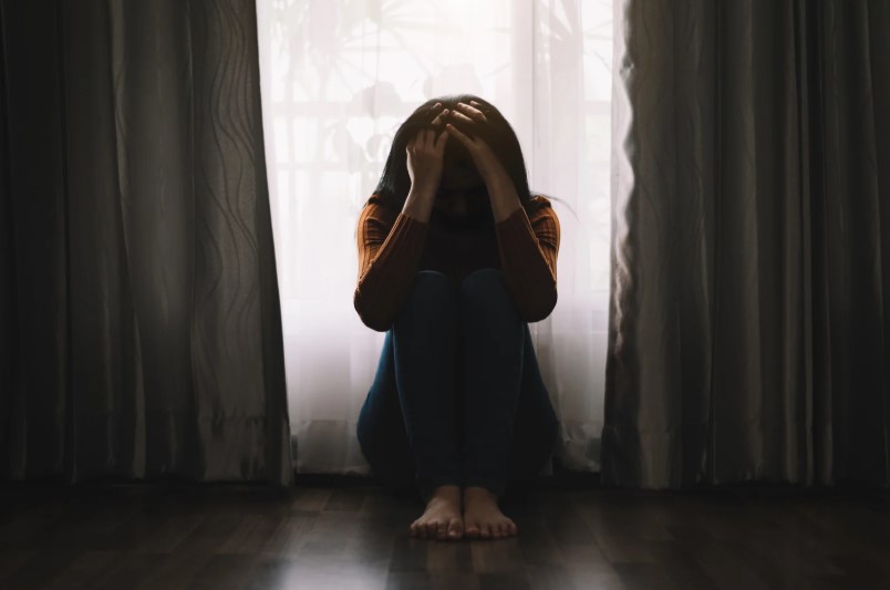 salud mental en madres en el período perinatal-Dra. Paola Martínez