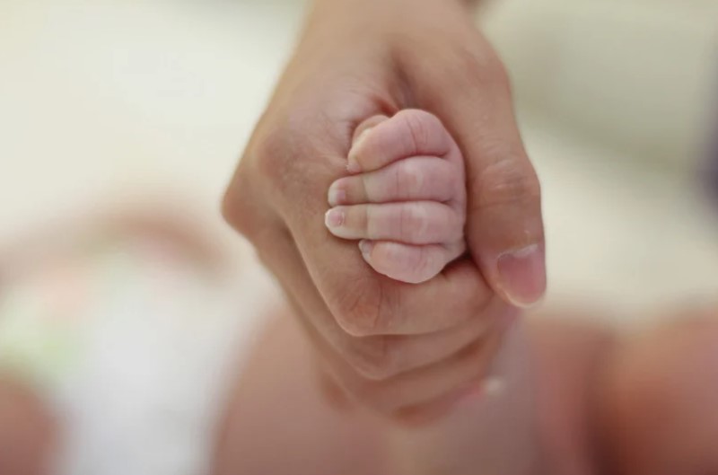 El arte de vincularte con tu bebé: claves emocionales desde el nacimiento-Dra. Paola Martínez