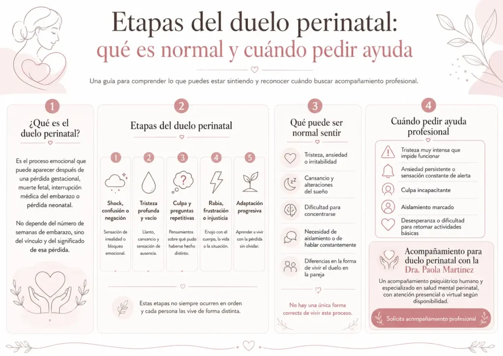 Etapas del duelo perinatal - Dra. Paola Martínez