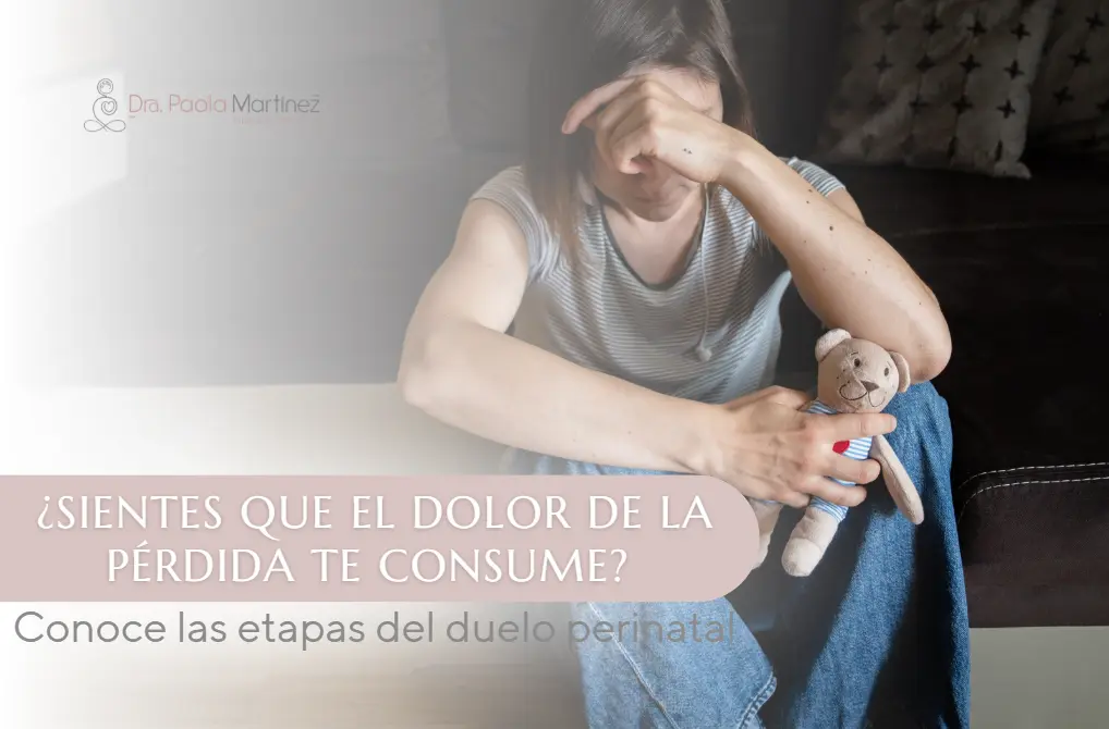 Etapas del duelo perinatal - Dra. Paola Martínez